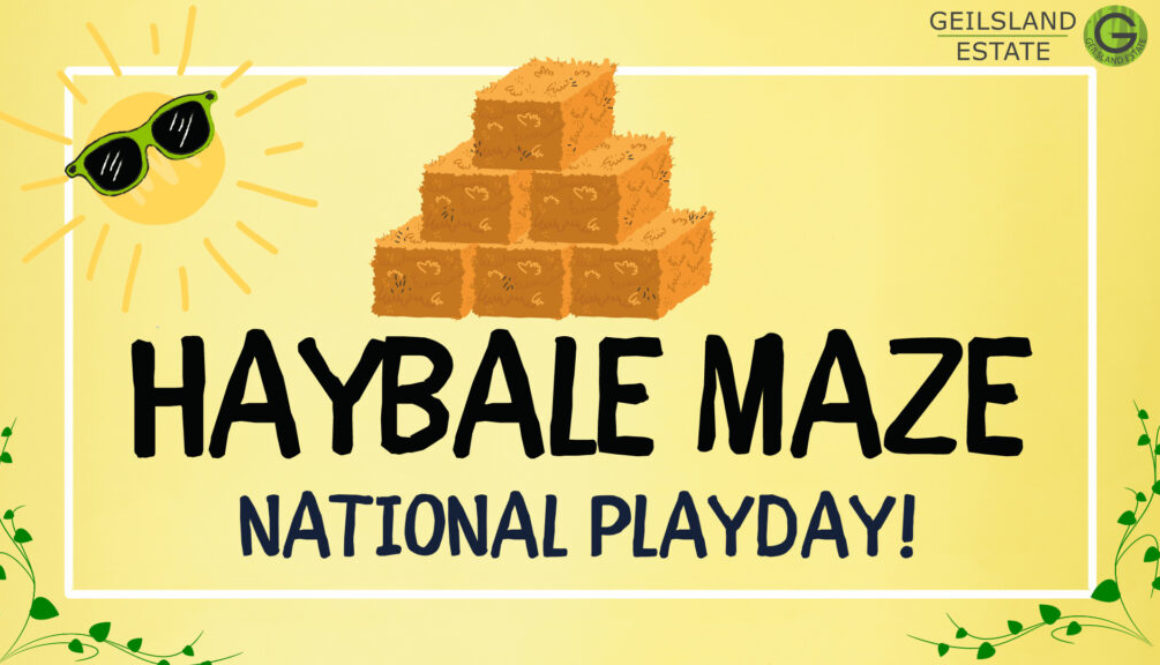 Haybale Maze National Playday!