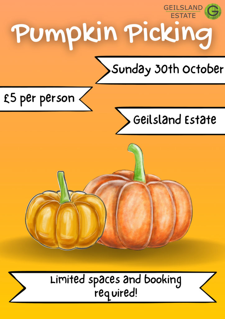 Pumpkin Picking, Sunday October 30th, £5 per person, Geilsland Estate. Limited Spaces and Booking required.
